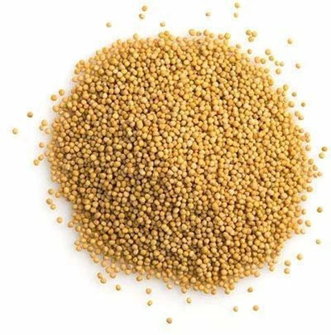 White Mustard seeds 50gm
