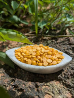 Harada Dali (Limited stock)