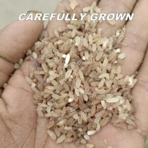 Junglee Jata usuna Rice – 2 KG. (Limited Stock)